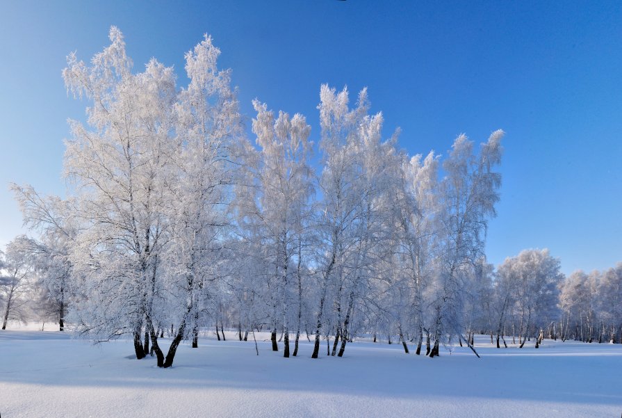 Новогодний наряд - Николай Мальцев