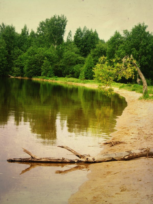 Озеро в Новгородской области - Виктория Карло(Голикова)