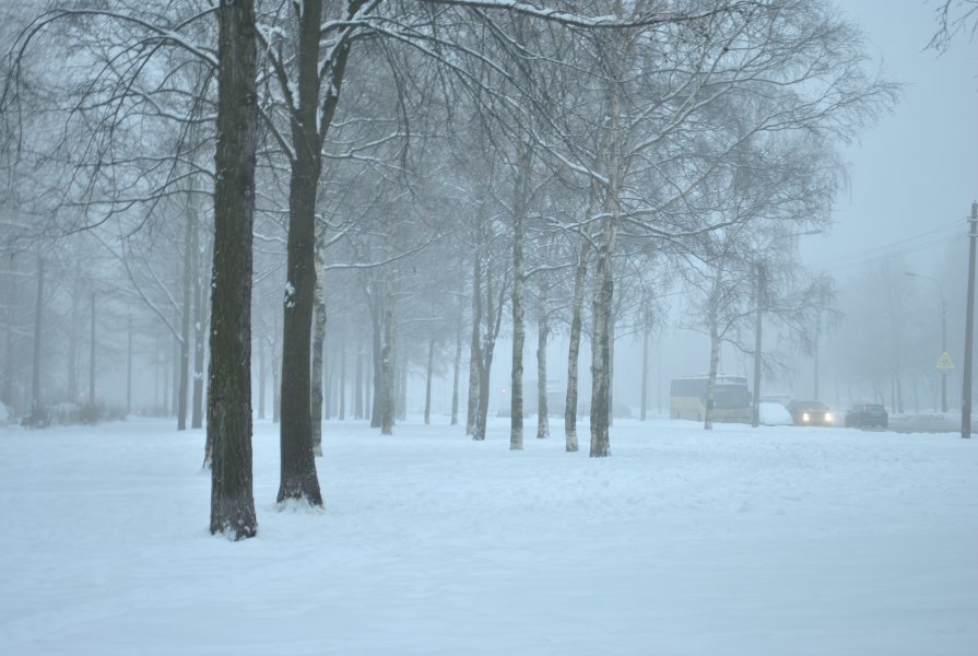в тумане и в снегу - Екатерина Яковлева
