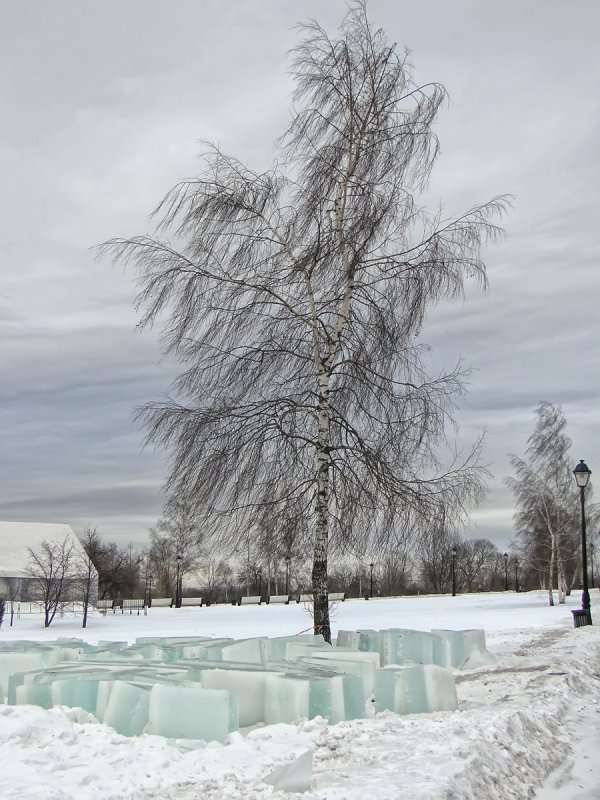 В ледяном плену... - Вера Бокарева