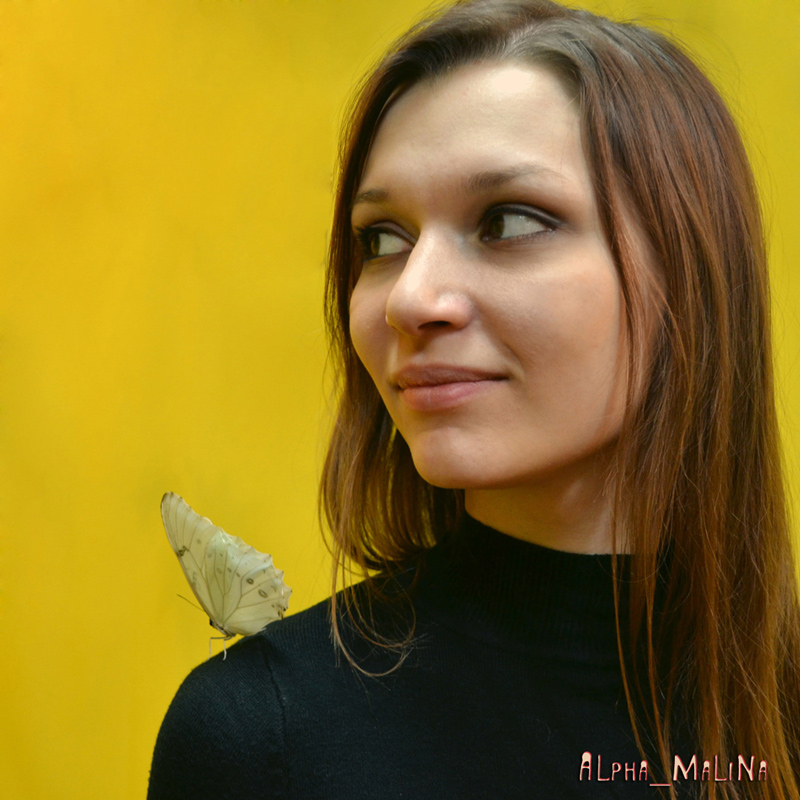 Бабочки - Alpha_ MaLiNa