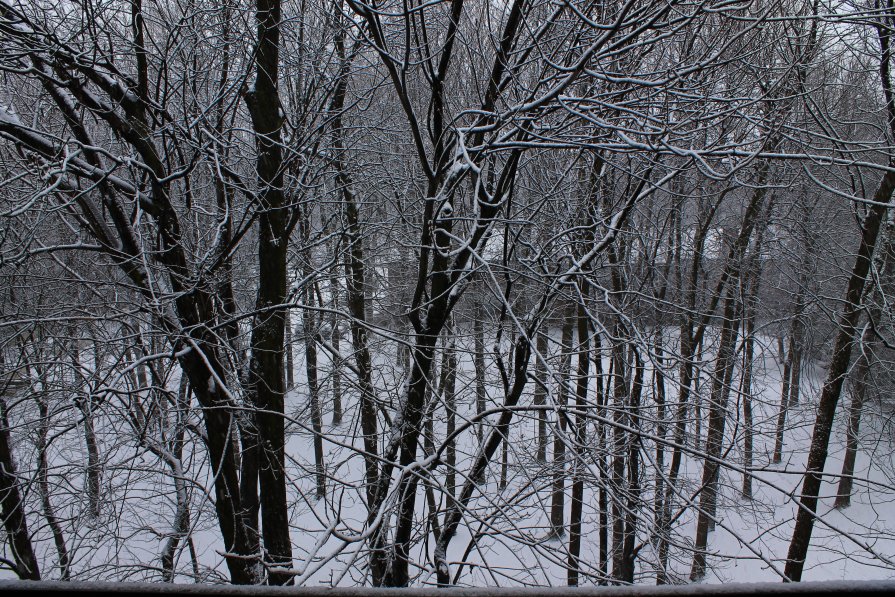 Tombe la neige - Yury Berestovoy