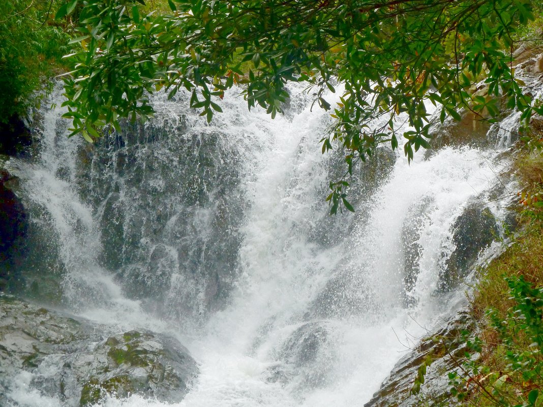 Водопад. - Чария Зоя 