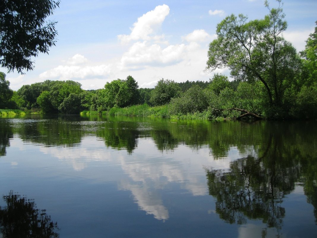 Река и лето - Леонид Корейба