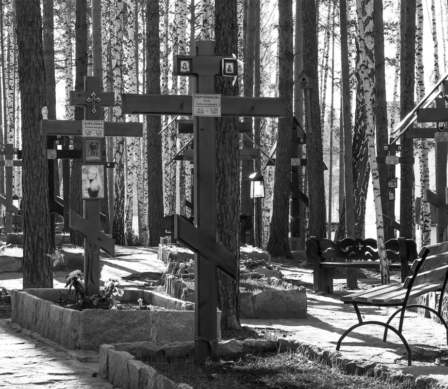 Кладбище при Монастыре - Илья Воловиков