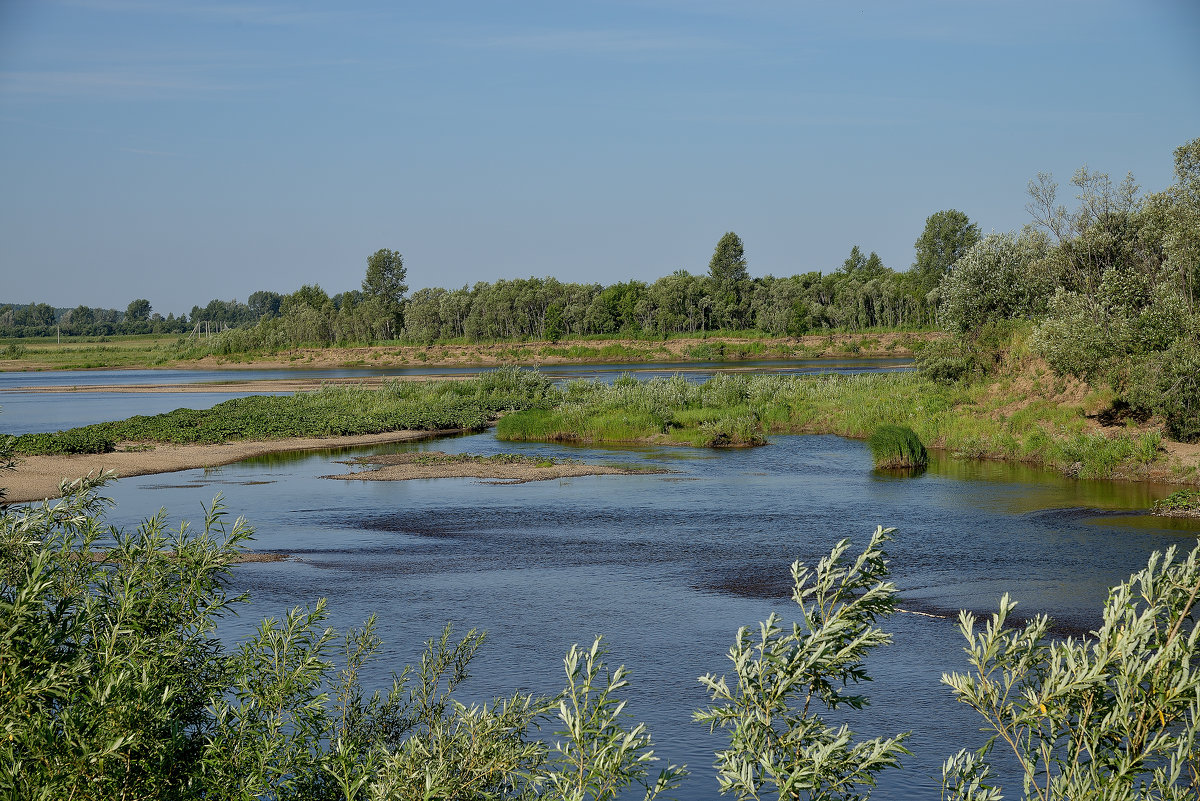 Водоем - Николай Терентьев