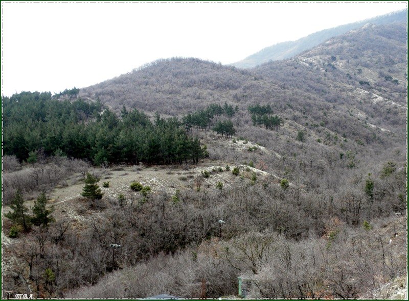 Вид с канатной дороги на горы в Геленджике - Вера 