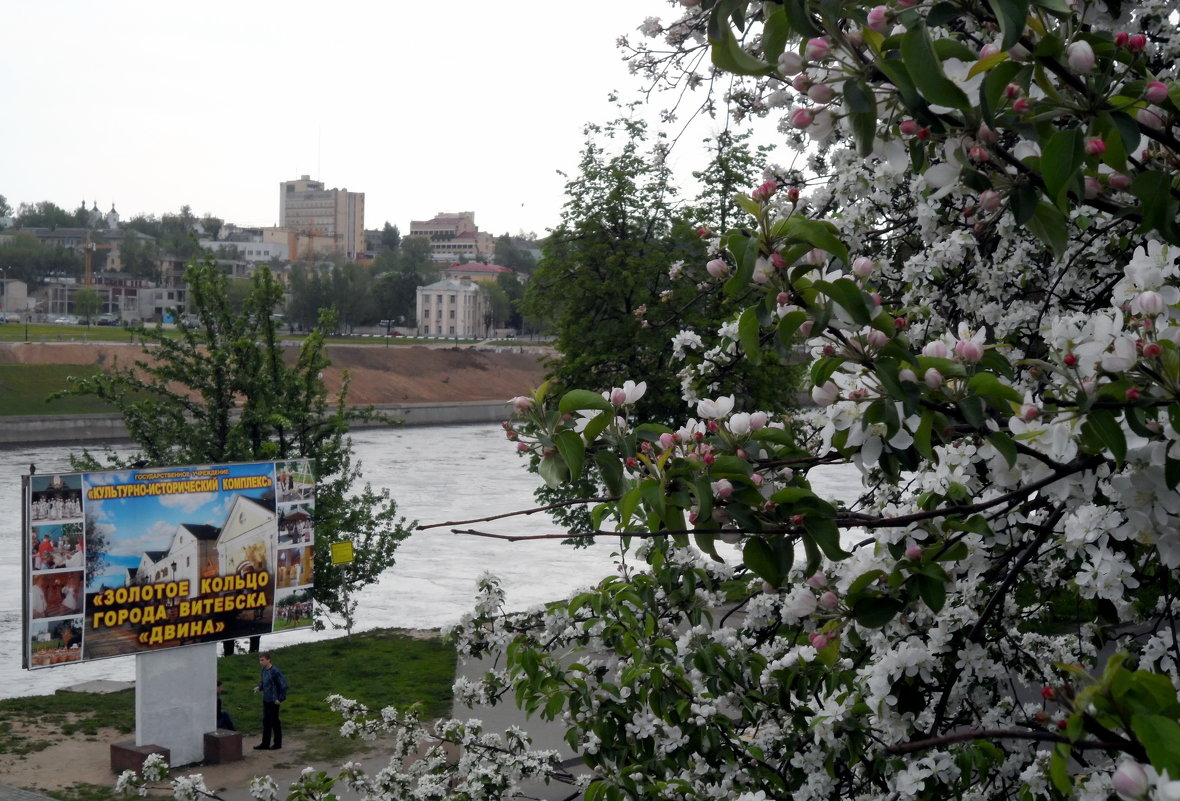 Весна в городе Витебске - Анатолий ❉