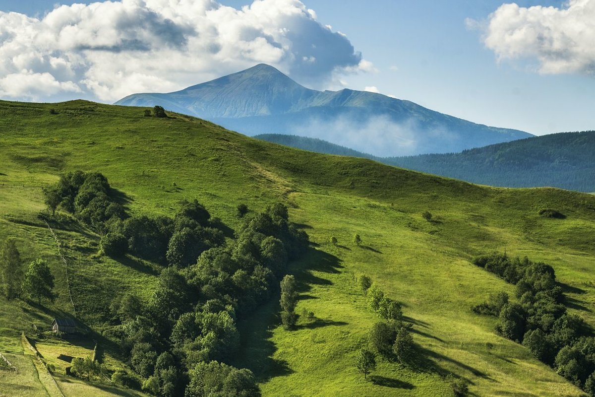 *** - Андрій Кізима