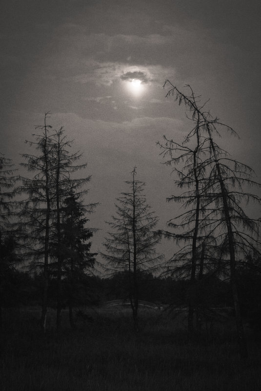 Мрачная луна - Елена Лебедева