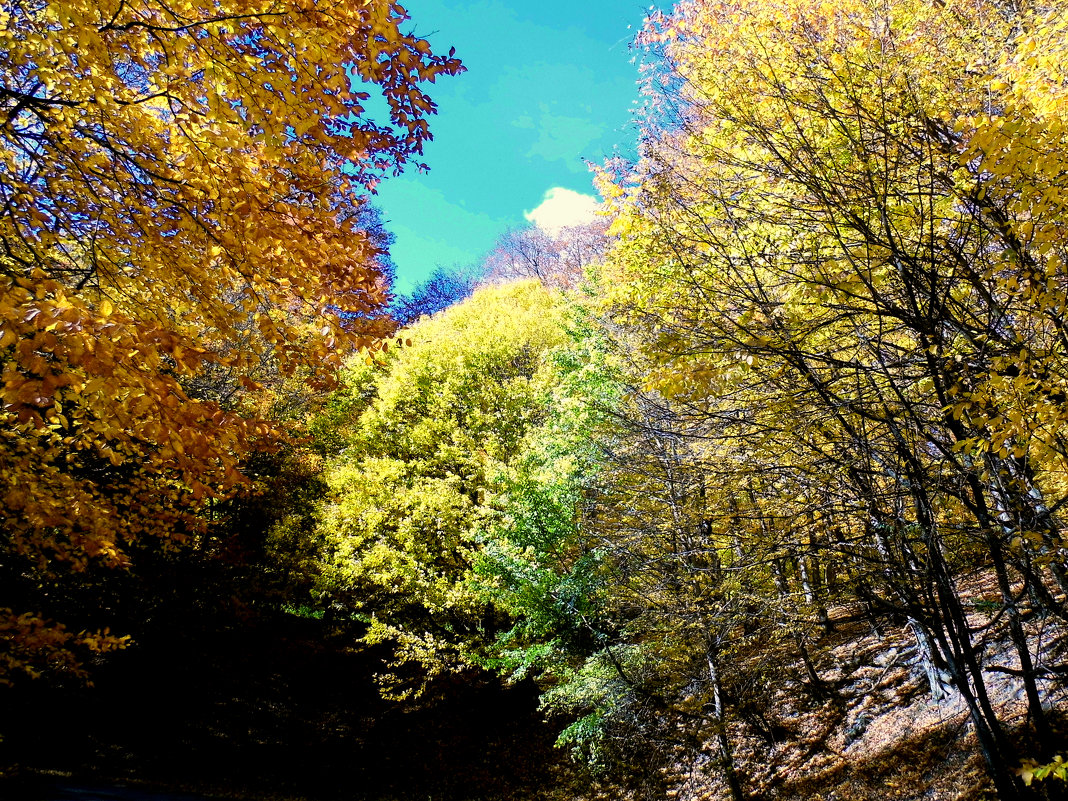 Near A Dilijan! Parz Lake - MIkael Aslanyan