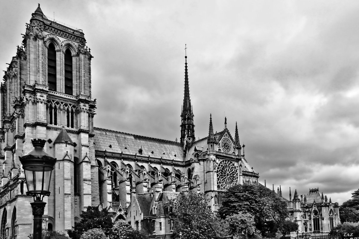 Notre Dame de Paris - Alexandr Zykov 