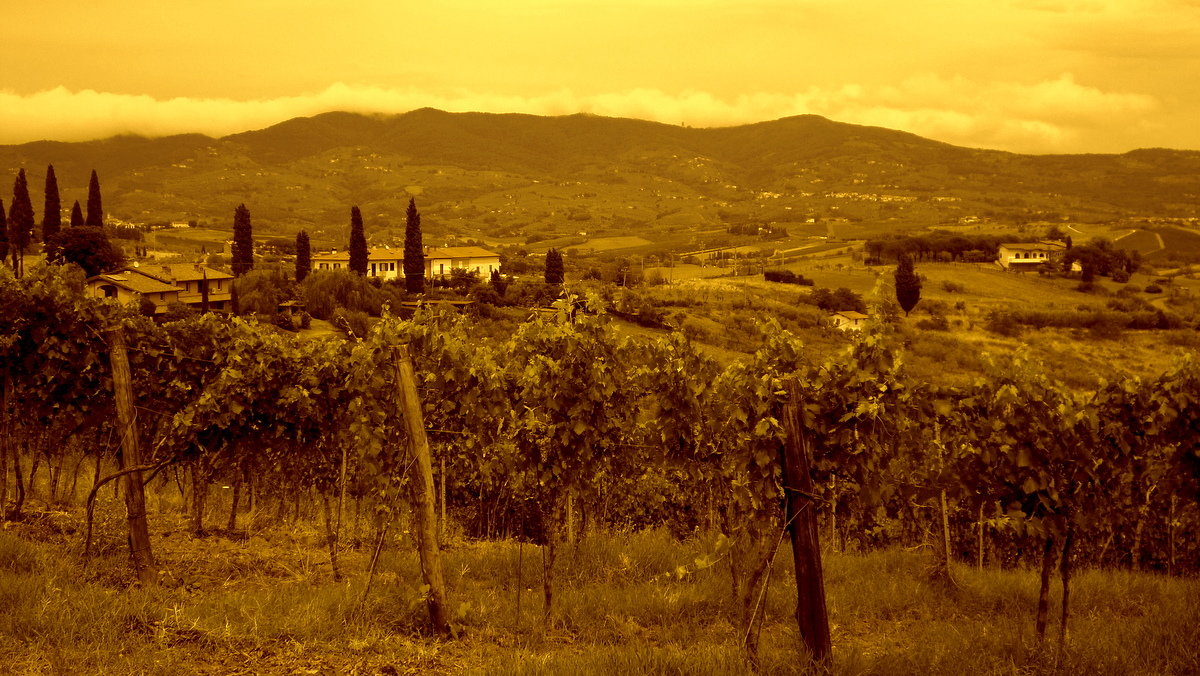 CERRETO GUIDI, INTORNI, TOSCANA, ITALIA by iramashura, 21-07-2014 - ira mashura