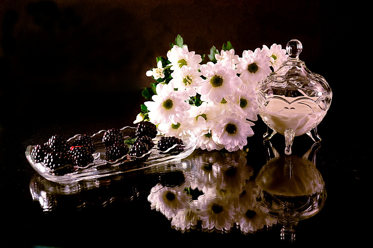 Ночь, ежевика и белые цветы - Наталия Лыкова