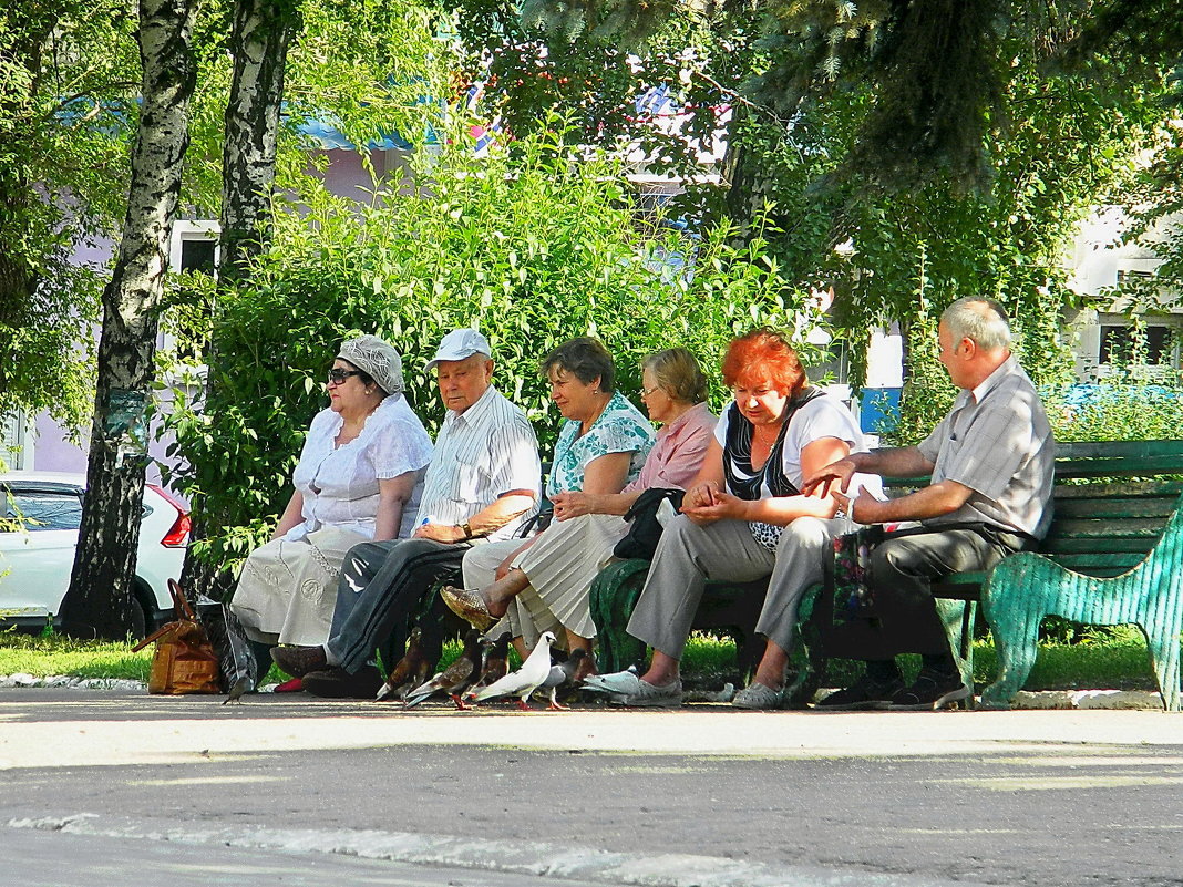 Пенсионерская скамейка - Александр Бурилов