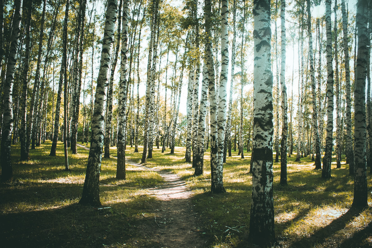 ... - Наталья Фролова