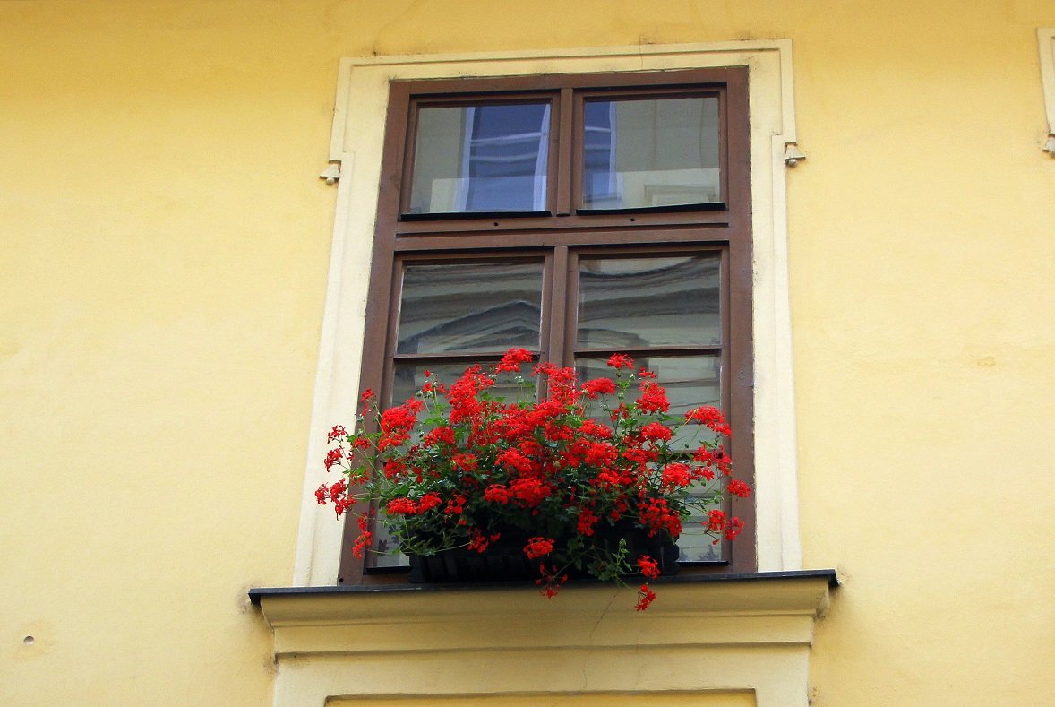 חלון  окно - vasya-starik Старик