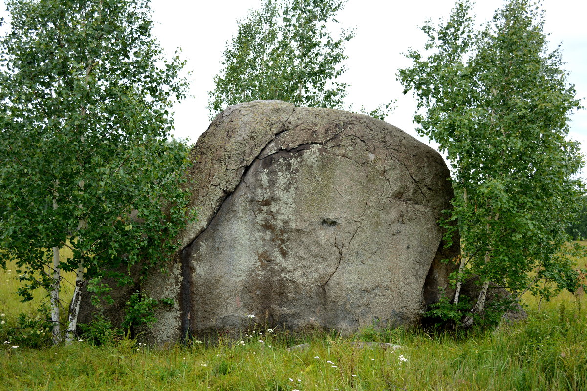 каменный слон в лесу - Анатолий Смольников