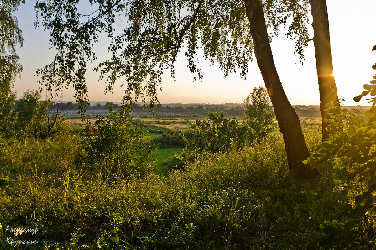 . - Александр Крупский