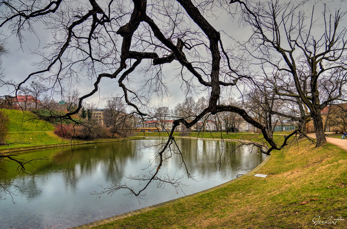 Dresden - Георгий Муравьев