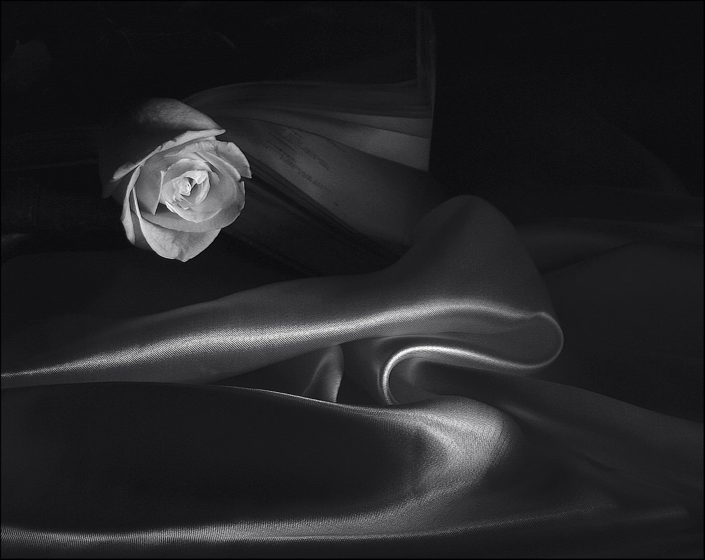 Белая  роза. - Валерия  Полещикова 