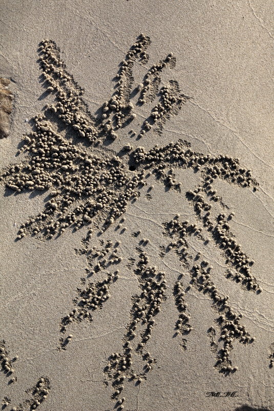 Рисунки на песке - Марина Жужа