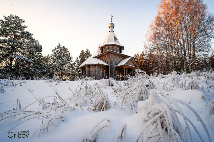 Зима на Светлояре - Андрей Грибов