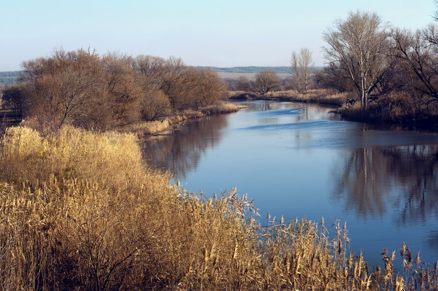 Река Тихая сосна в Белгородской области - Жанна Шишкина
