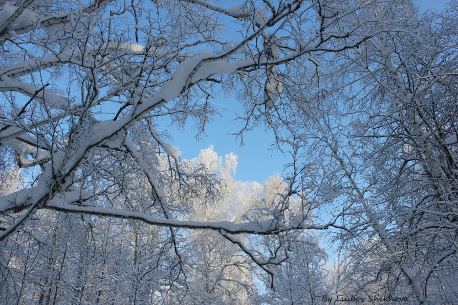 Снежно-хрустальная зима - Любовь Шихова