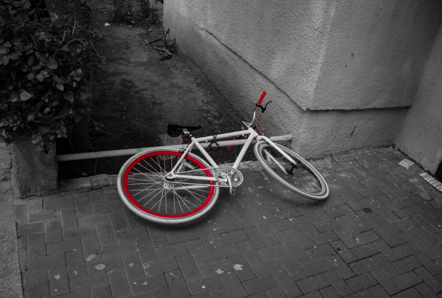 bicycle - Pavel Slusar