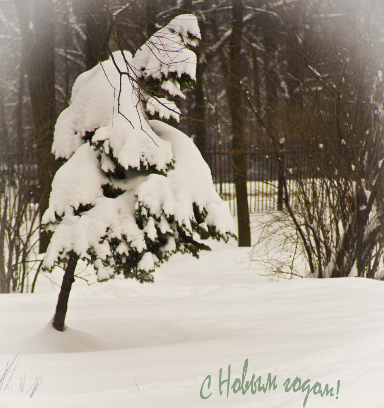 новогодняя открытка - Камозина Валерия