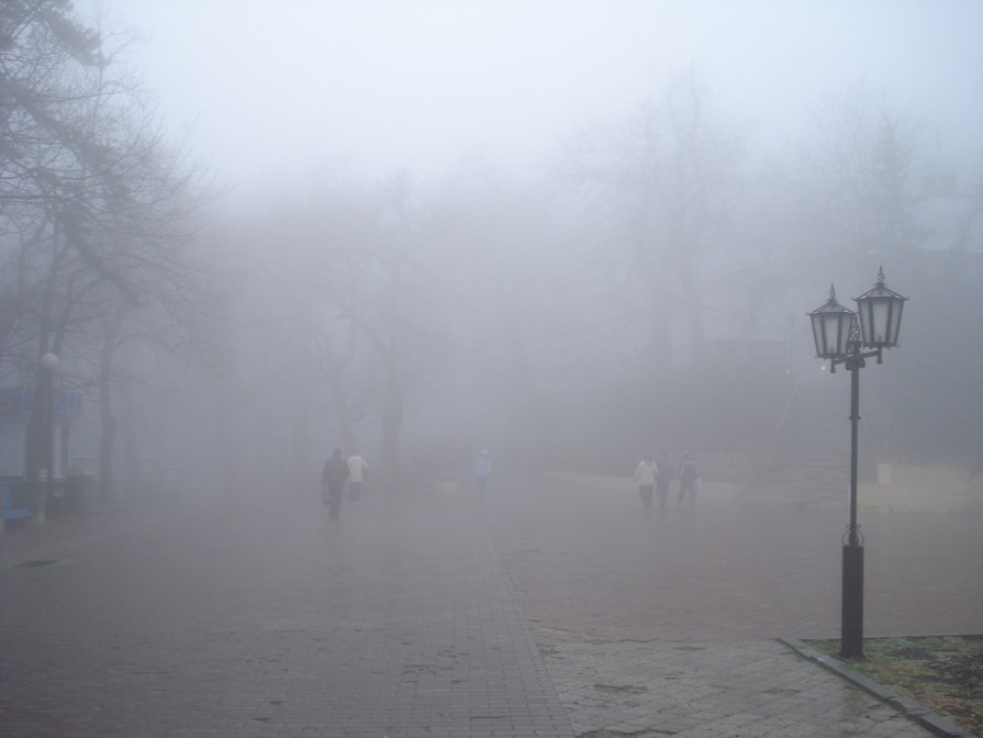 Туман, туман - Сергей Назаркин