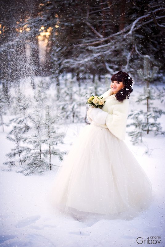 Зимняя невеста - Андрей Грибов