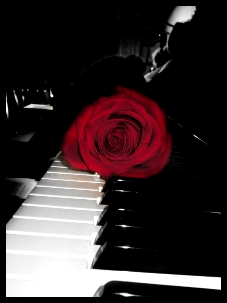 Роза и клавиши..(2) - Emily Rose