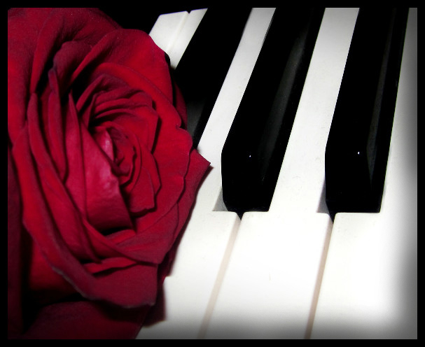 Роза и клавиши.. - Emily Rose