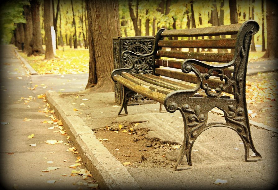 Осень в парке - Евгений Жиляев
