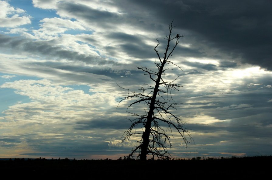 рассвет - Yana sky