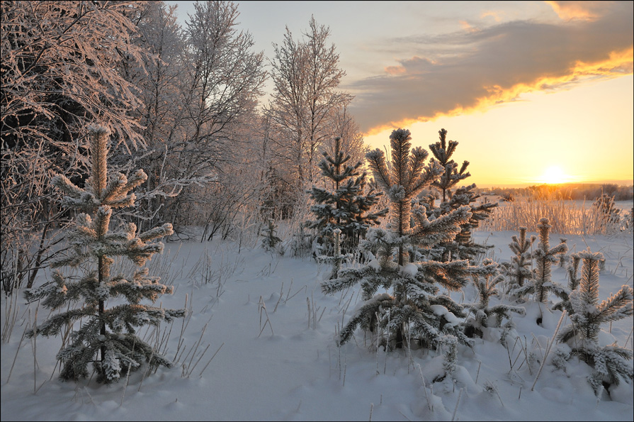 Про морозное солнце декабря... - Андрей Воробьев