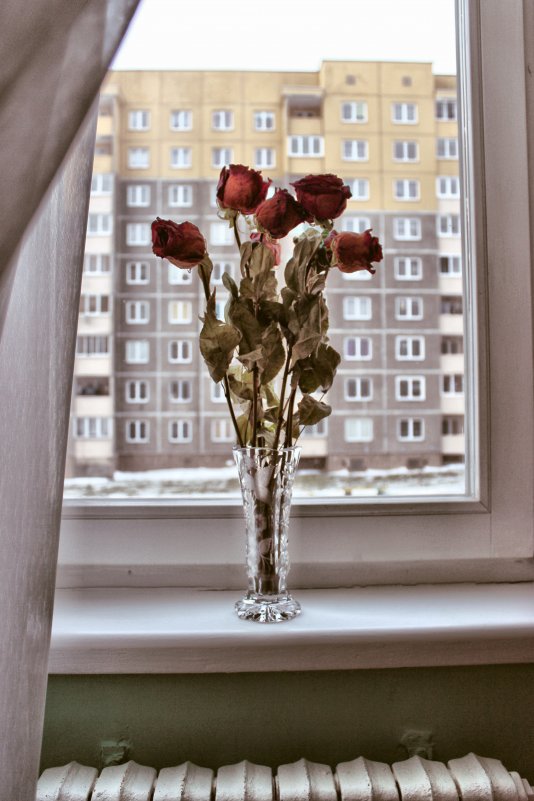 увядать вместе с розами - Ирина Рацкевич