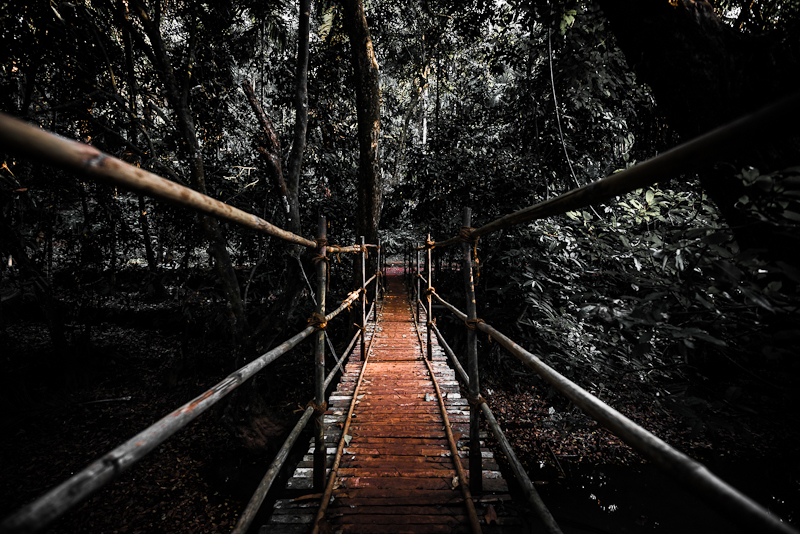 Мост в Джунгях - Mike Kolesnikov