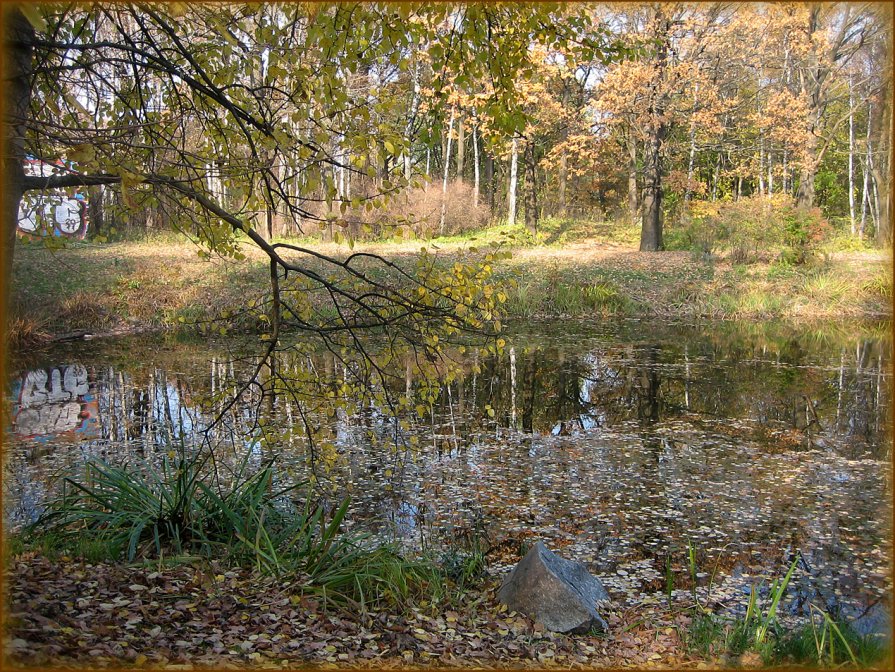 Осень в Ботаническом саду - Василиса Никитина