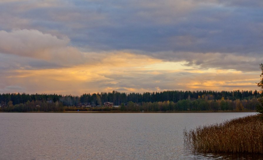 Борисовское озеро - Наталия Зыбайло