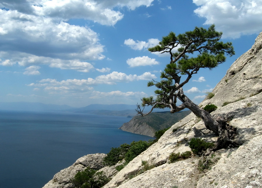 На краю - Марина Дегтярева