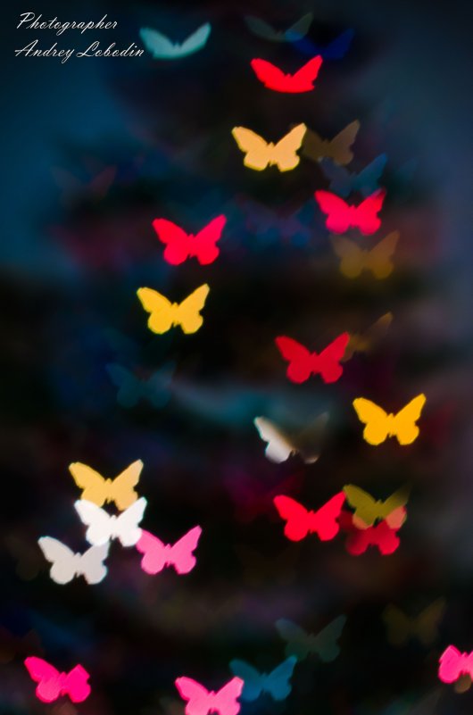 Butterfly light - Андрей Лободин