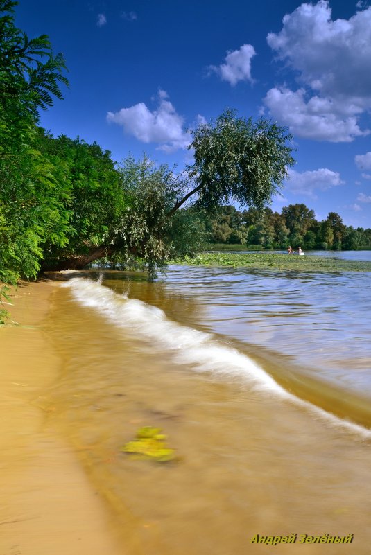 остров на реке Десёнка..... Киев - Андрей Зелёный