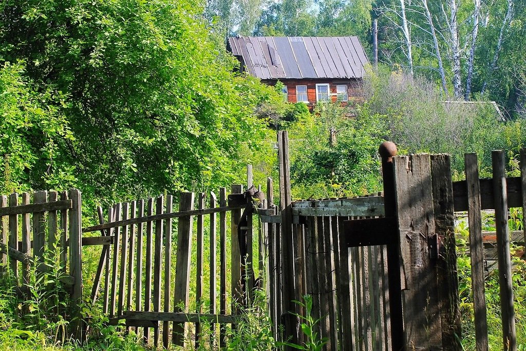 Домик в лесу - Галина Стрельченя