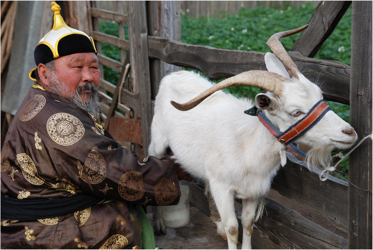 Вася и его коза - Владимир Тюменцев