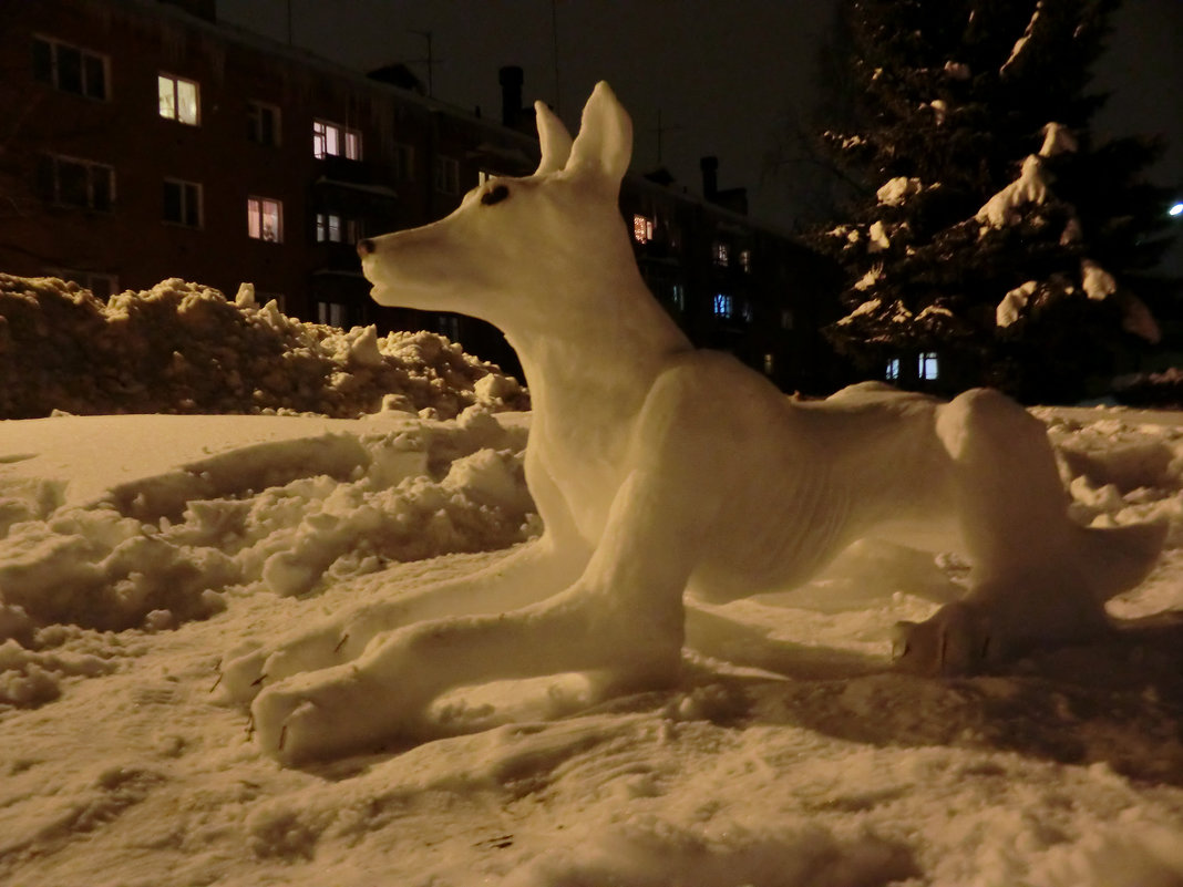 Великие Луки. снежный пёс... - Владимир Павлов