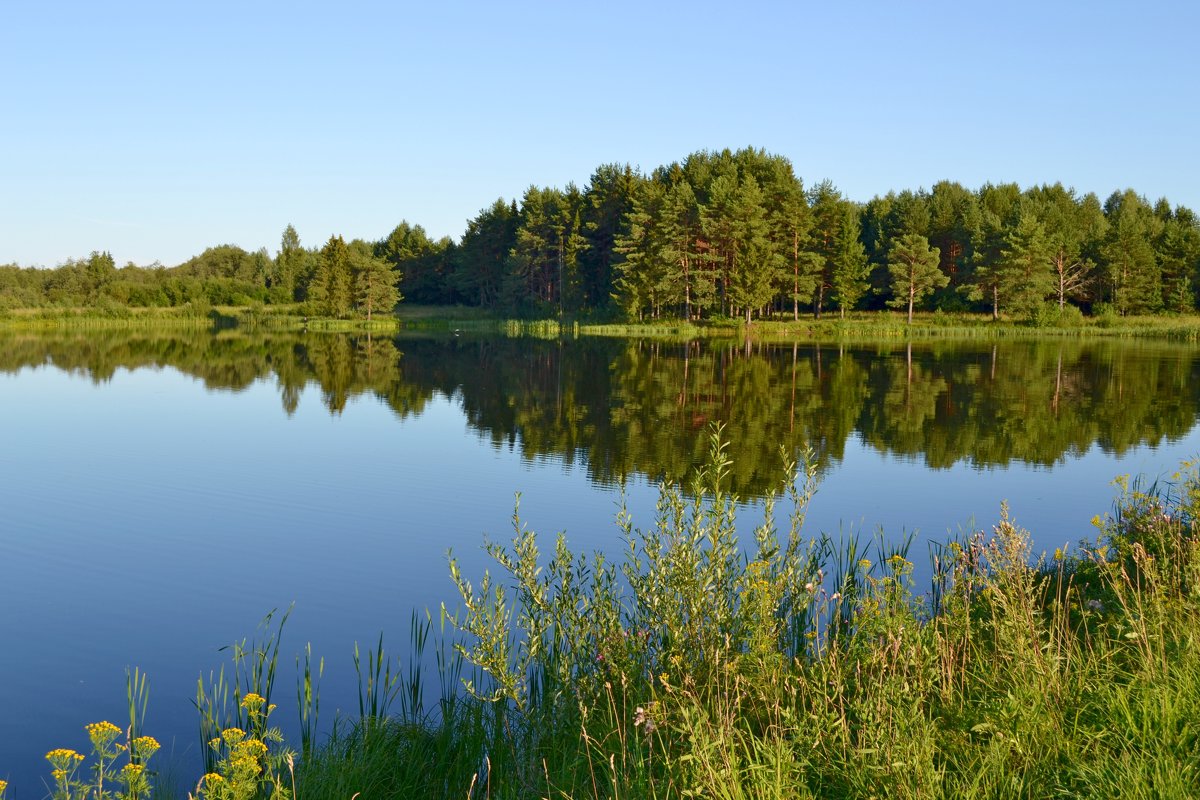 На озере - AndrewVK 