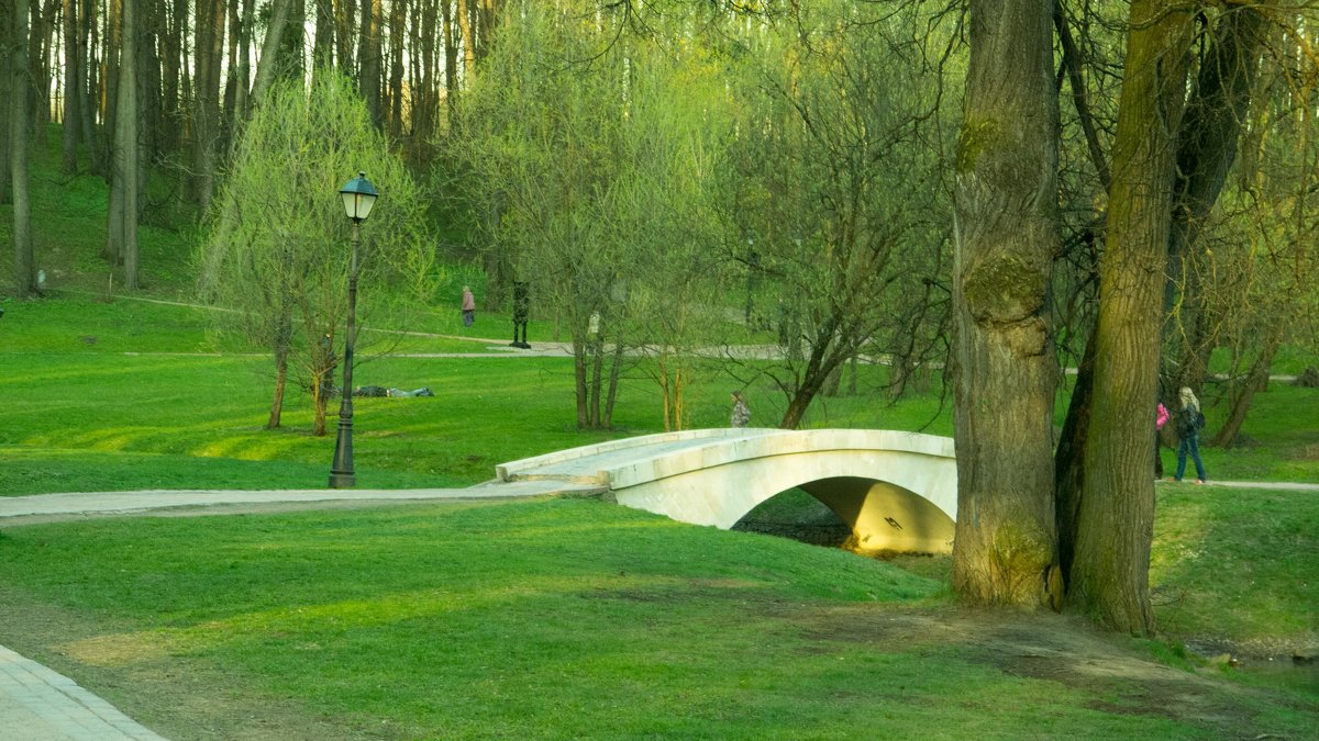 парк - Таня Кулешова